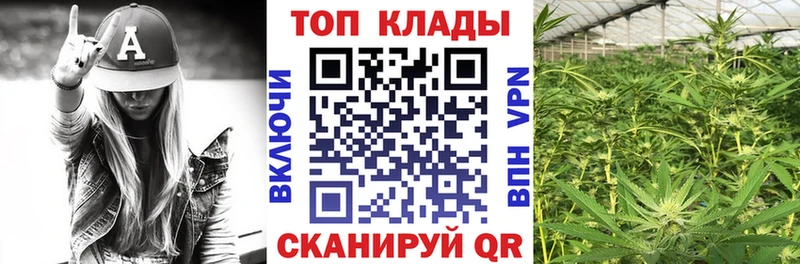 Наркошоп купить АМФ  Кокаин  ГАШ  МДМА  КЕТАМИН  Конопля  A PVP  Меф мяу мяу  Шуя