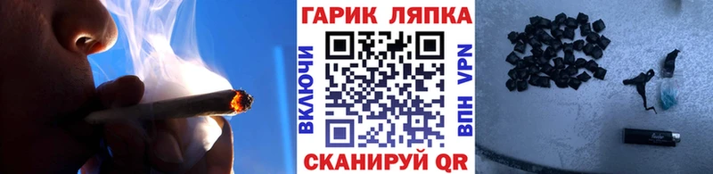 Купить  Шуя  ГАШ гарик 