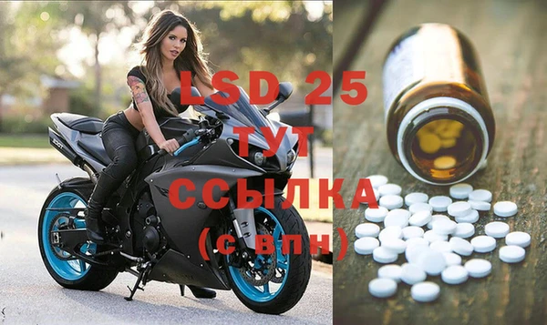 ECSTASY Медногорск