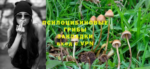 ECSTASY Медногорск
