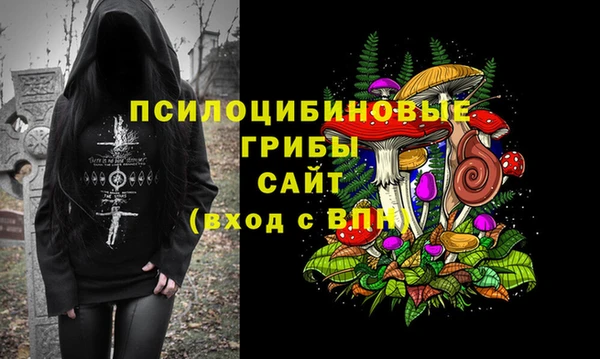 ECSTASY Медногорск