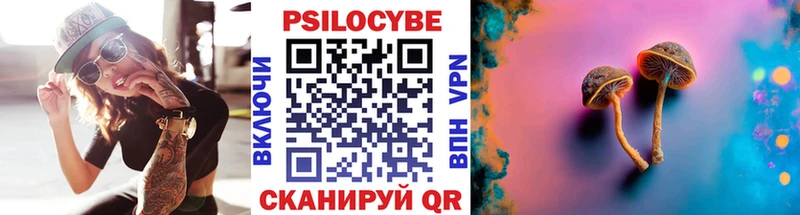 Галлюциногенные грибы прущие грибы  Купить закладки  Шуя 