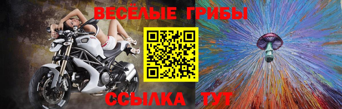 Псилоцибиновые грибы мухоморы Шуя
