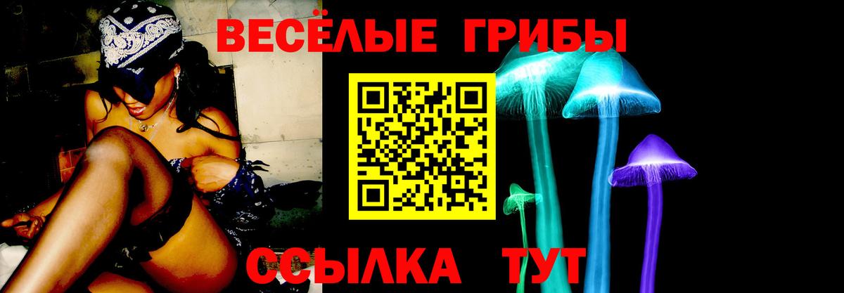 Галлюциногенные грибы ЛСД Шуя