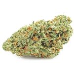 Шишки OG Kush  (Гидропоника, бошки) VHQ в Шуе